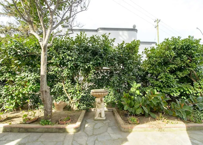 Elena By Myvillacollection Villa